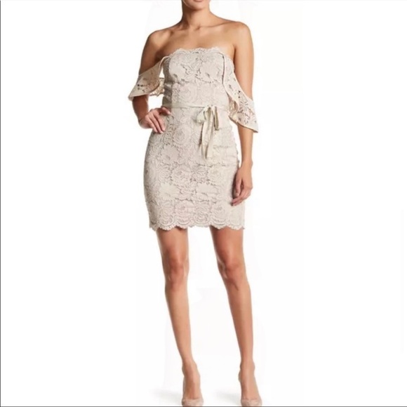 Nwt Dress Forum Lace Dress - Picture 1 of 8